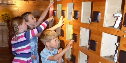 Ausflug mit Kindern - Kraß (Himmelberg) - Pilz Museum