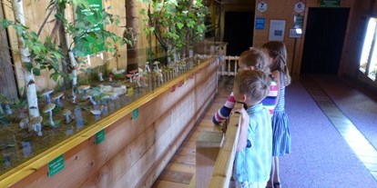 Ausflug mit Kindern - Naßweg - Pilz Museum