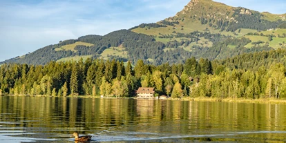 Trip with children - Leogang - Naturbadesee Schwarzsee