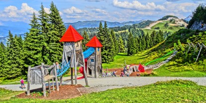 Ausflug mit Kindern - Themenschwerpunkt: Klettern - PLZ 5621 (Österreich) - Geisterberg