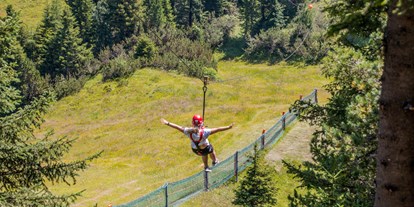 Ausflug mit Kindern - Ausflugsziel ist: eine Sportanlage - Alpbach - Almflieger Gerlosstein - Almflieger Gerlosstein