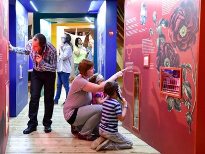 Ausflug mit Kindern - Ausflugsziel ist: ein Museum - Kräftereich St. Jakob im Walde