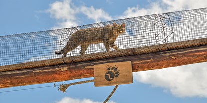 Ausflug mit Kindern - Themenschwerpunkt: Spielen - PLZ 8781 (Österreich) - Der Cat Walk ist die Verbindung zwischen den beiden Wildkatzen-Gehegen. - Der Wilde Berg Mautern