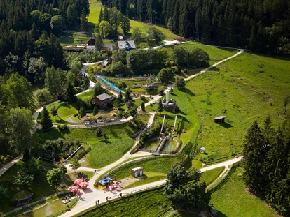 Ausflug mit Kindern - Ausflugsziel ist: ein Streichelzoo - Österreich - Die Steinbockalm, der Kinder-Stadl und der Spielpark im Überblick - Der Wilde Berg Mautern