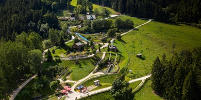 Ausflug mit Kindern - Themenschwerpunkt: Spielen - PLZ 8924 (Österreich) - Die Steinbockalm, der Kinder-Stadl und der Spielpark im Überblick - Der Wilde Berg Mautern