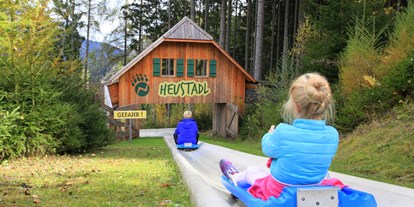 Ausflug mit Kindern - Umgebungsschwerpunkt: Wald - PLZ 8923 (Österreich) - Mit dem Wiesengleiter geht's zurück ins Tal - Der Wilde Berg Mautern