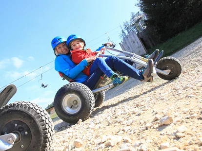 Trip with children - Rasant geht es mit dem Mountain-Kart ins Tal - Der Wilde Berg Mautern