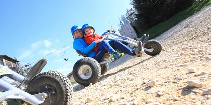 Ausflug mit Kindern - Ausflugsziel ist: eine Sommerrodelbahn - PLZ 8781 (Österreich) - Rasant geht es mit dem Mountain-Kart ins Tal - Der Wilde Berg Mautern