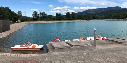 Ausflug mit Kindern - Fisching (Weißkirchen in Steiermark) - Freizeitanlage Zechner