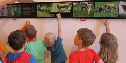 Ausflug mit Kindern - indoor - Kirchberg (Maria Lankowitz) - Jagdmuseum und Landwirtschaftsmuseum Schloss Stainz