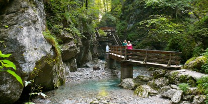 Ausflug mit Kindern - Umgebungsschwerpunkt: Wald - Hallenstein - Saalachtaler Naturgewalten