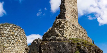 Ausflug mit Kindern - sehenswerter Ort: Ruine - Bärnkopf - Ruine Ruttenstein