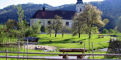 Ausflug mit Kindern - Ausflugsziel ist: ein Freizeitpark - Pfarrkirchen im Mühlkreis - Wassererlebnis Mini-Donau