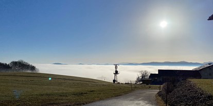 Ausflug mit Kindern - Ausflugsziel ist: eine Wanderung - Mühltal (Überackern) - Blick am Weg bergab Richtung Gasthaus Mayrhof  - Buchberg Wanderung