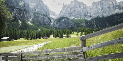 Ausflug mit Kindern - Schatten: halb schattig - Sankt Lorenzen (Trentino-Südtirol) - Spaziergang zu den Pisciadú Wasserfällen in Colfosco