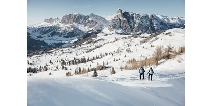 Trip with children - Reischach (Trentino-Südtirol) - Familienwanderung im Winter am Pralongiá - Bioch – Arlara Plateau. - Leichte Wanderung am Pralongiá - Bioch – Arlara Plateau