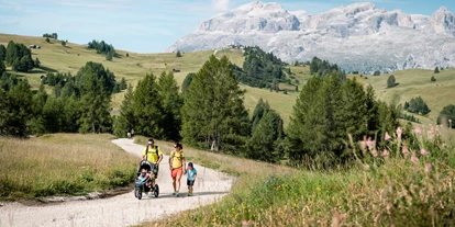 Trip with children - Reischach (Trentino-Südtirol) - Leichte Wanderung am Pralongiá - Bioch – Arlara Plateau