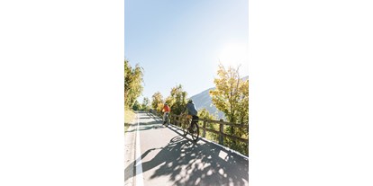 Ausflug mit Kindern - Witterung: Wechselhaft - Italien - Der Fahrradweg führt direkt an den Trauttmansdorffer Thronsesseln vorbei. - Trauttmansdorffer Thronsessel