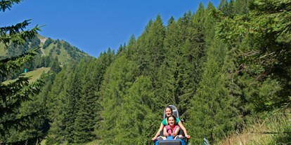 Ausflug mit Kindern - Umgebungsschwerpunkt: Land - Wolkenstein - Gröden - Erlebnisbahn Alpine Coaster