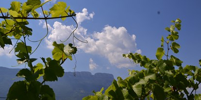 Ausflug mit Kindern - Steinegg (Trentino-Südtirol) - Natur- und Weinlehrpfad Girlan