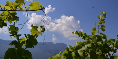 Ausflug mit Kindern - Wickeltisch - Trentino-Südtirol - Natur- und Weinlehrpfad Girlan