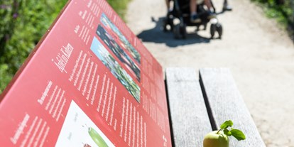 Ausflug mit Kindern - Kinderwagen: vollständig geeignet - Predazzo - Seerundwanderweg Kalterer See - Seerundwanderweg Kalterer See