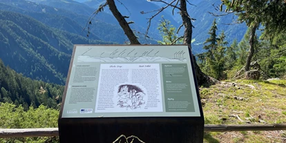 Trip with children - Reischach (Trentino-Südtirol) - Sagenwanderung über die Lüsner Alm - Aussichtspunkt Tulper Gampis - Sagenhafte Familienwanderung über die Lüsner Alm