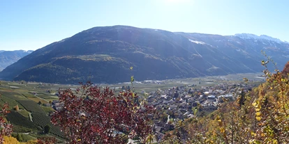 Ausflug mit Kindern - Alter der Kinder: über 10 Jahre - Trentino-Südtirol - Partschinser Waalweg - Wandern am Wasser
Foto: Tourismusverein Partschins  - Partschinser Waalweg - Zielbach Runde