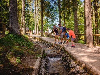 Ausflug mit Kindern - Witterung: Wechselhaft - Steiermark - Holzknechtland & Biberwasser & WALD8erBAHN