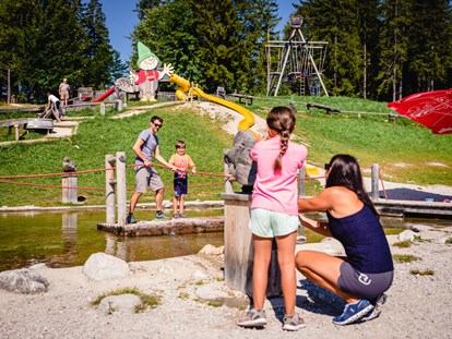 Ausflug mit Kindern - Döllach (Aflenz) - Holzknechtland & Biberwasser & WALD8erBAHN
