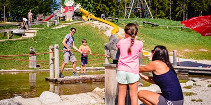 Ausflug mit Kindern - Preisniveau: günstig - Lackenhof - Holzknechtland & Biberwasser & WALD8erBAHN