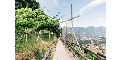 Ausflug mit Kindern - Ausflugsziel ist: eine Wanderung - Naturns, Südtirol - Ebene Wanderung über den Algunder Waalweg. - Wanderung am Algunder Waalweg