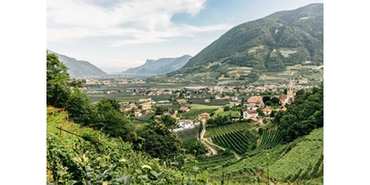 Ausflug mit Kindern - Alter der Kinder: über 10 Jahre - Trentino-Südtirol - Wunderschöne Ausblicke vom Algunder Waalweg über Algund und das Meraner Land. - Wanderung am Algunder Waalweg