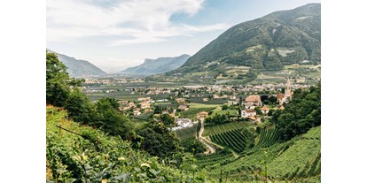 Ausflug mit Kindern - Naturns, Südtirol - Wunderschöne Ausblicke vom Algunder Waalweg über Algund und das Meraner Land. - Wanderung am Algunder Waalweg