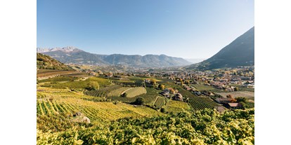 Ausflug mit Kindern - Dauer: unter einer Stunde - Südtirol - Wunderschöner Panoramaausblick bei einer herbstlichen Familienwanderung über den Algunder Waalweg nahe Meran. - Wanderung am Algunder Waalweg