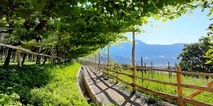 Ausflug mit Kindern - Ausflugsziel ist: ein Aussichtspunkt - Naturns, Südtirol - Der Algunder Waalweg in Algund bei Meran. - Wanderung am Algunder Waalweg