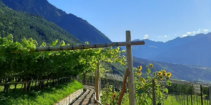 Ausflug mit Kindern - Alter der Kinder: über 10 Jahre - Trentino-Südtirol - Der Algunder Waalweg in Algund bei Meran. - Wanderung am Algunder Waalweg