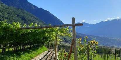 Ausflug mit Kindern - Kinderwagen: großteils geeignet - Trentino-Südtirol - Der Algunder Waalweg in Algund bei Meran. - Wanderung am Algunder Waalweg