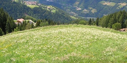 Ausflug mit Kindern - Ausflugsziel ist: eine Wanderung - Naturns, Südtirol - Symbolbild für Ausflugsziel Wanderung Meraner Waalrunde. Keine korrekte oder ähnlich Darstellung! - Wanderung Meraner Waalrunde