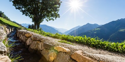 Ausflug mit Kindern - Naturns, Südtirol - Wanderung auf dem Schenner Waalweg