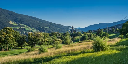 Ausflug mit Kindern - Teis - Panoramaweg in Feldthurns