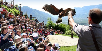 Ausflug mit Kindern - Themenschwerpunkt: Lernen - Töll - Partschins - Pflegezentrum für Vogelfauna Schloss Tirol
