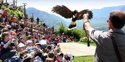 Ausflug mit Kindern - Südtirol - Pflegezentrum für Vogelfauna Schloss Tirol