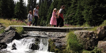 Ausflug mit Kindern - Alter der Kinder: 4 bis 6 Jahre - Steinegg (Trentino-Südtirol) - Hexenquellen