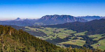 Trip with children - Ausflugsziel ist: eine Wanderung - Kirchstetten (Pilsbach) - Aussichtsturm Kulmspitze 