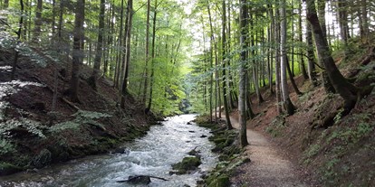 Ausflug mit Kindern - Weg: Naturweg - Rußbach - Wanderung auf dem Helenenweg 