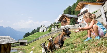 Ausflug mit Kindern - Themenschwerpunkt: Klettern - Tisens-Prissian - Die Taser Alm in Schenna