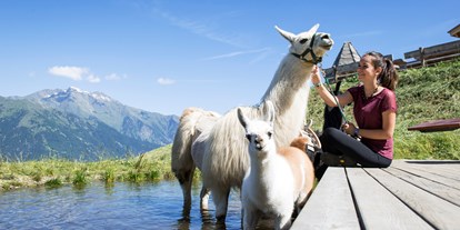 Ausflug mit Kindern - Kinderwagen: halb geeignet - Naturns, Südtirol - Die Taser Alm in Schenna