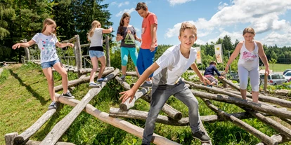 Ausflug mit Kindern - Witterung: Bewölkt - Schwarzau (Artstetten-Pöbring) - BÄRENWALD Arbesbach