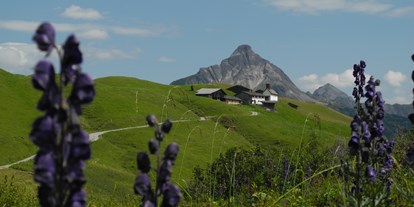 Ausflug mit Kindern - Ausflugsziel ist: ein sehenswerter Ort - Wald am Arlberg - Walsersiedlung Bürstegg